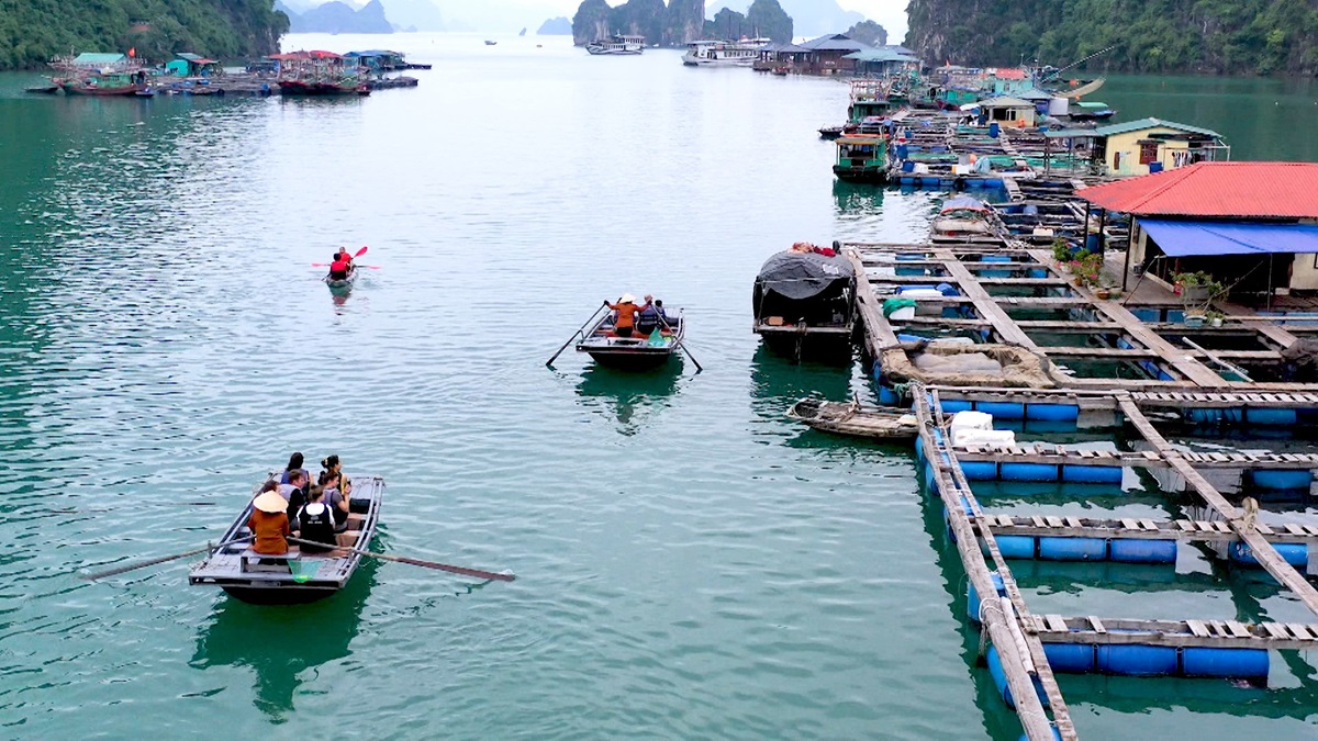 Ghé thăm các làng chài dọc tuyến đi của du thuyền Lan Hạ