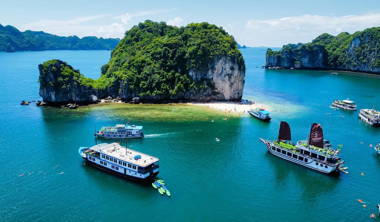 Những chiếc du thuyền vịnh Lan Hạ sang trọng cập bến
