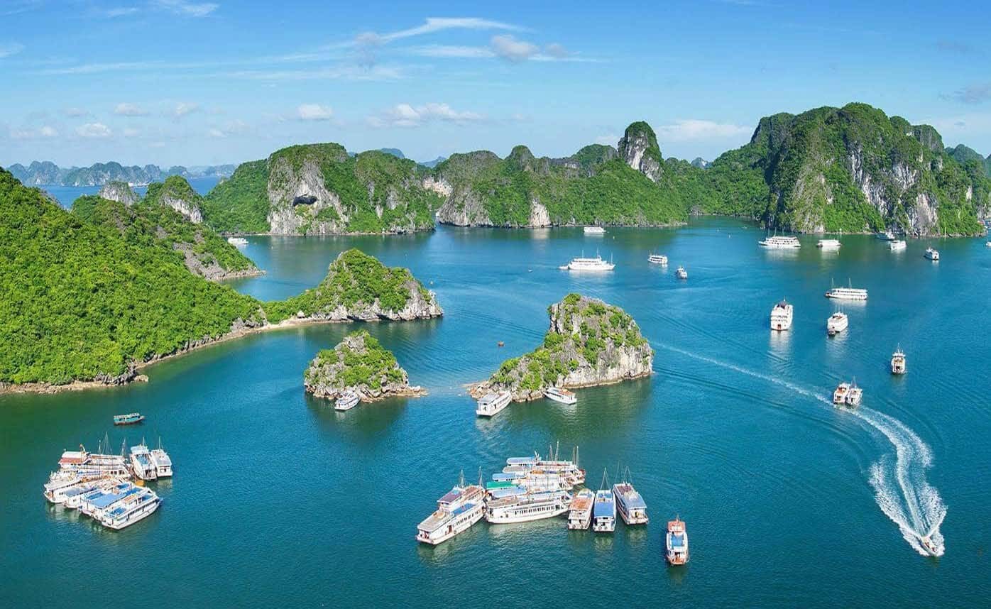 Các khu vịnh, đảo tuyệt đẹp trong hành trình du thuyền Lan Hạ