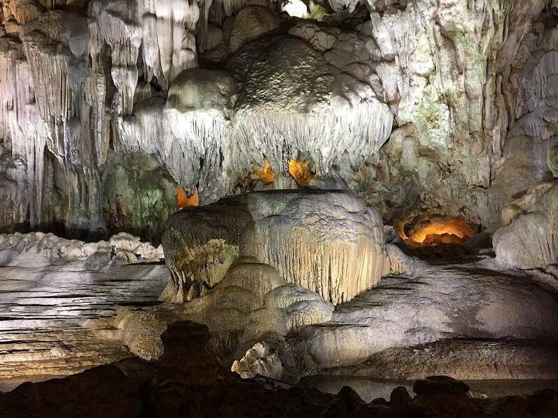 hang đầu gỗ ngăn thứ 1