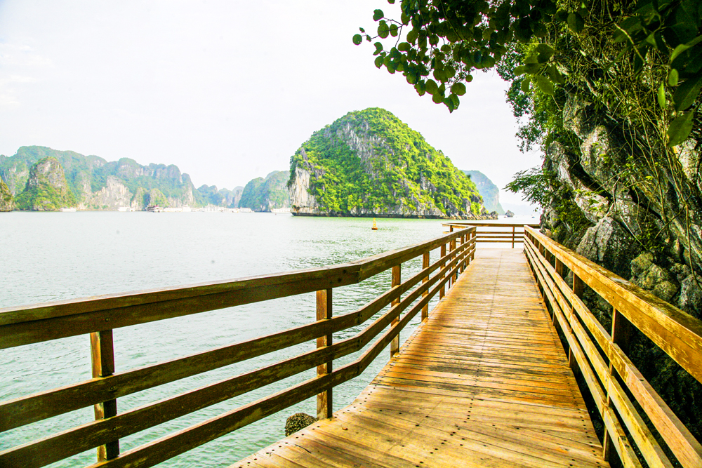 Rừng nguyên sinh xanh mướt bao quanh đảo Soi Sim