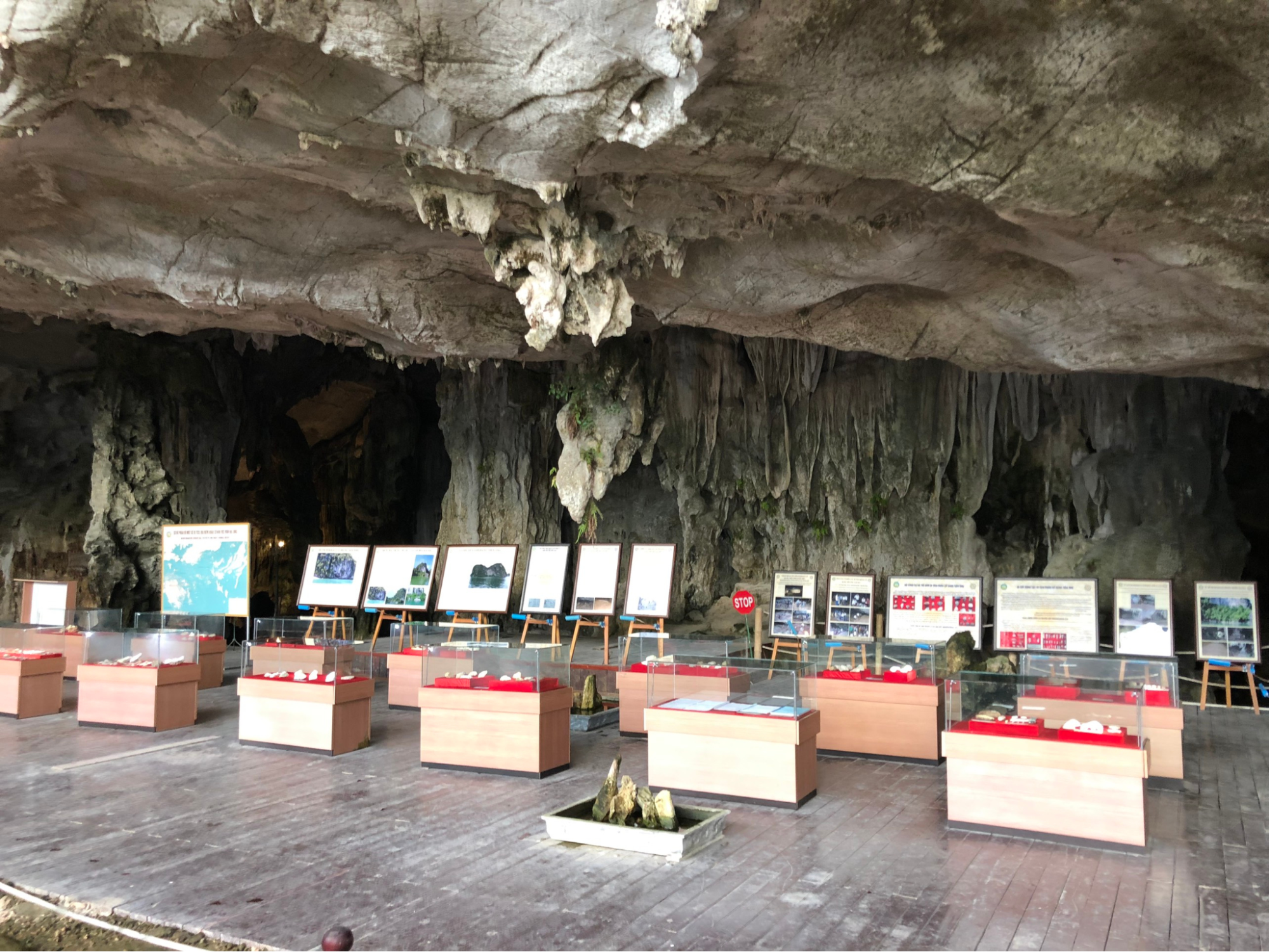 Các tủ kính trưng bày các công cụ đá, hóa thạch vỏ ốc