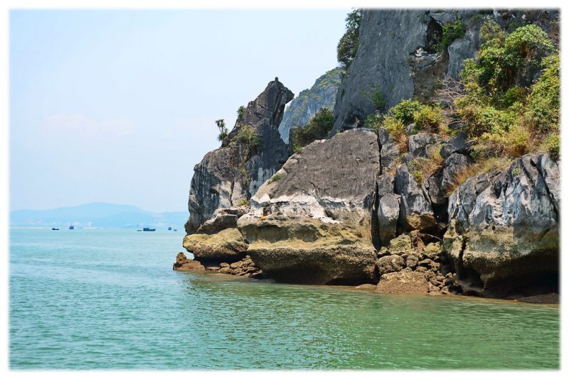 Hòn Chó Đá sừng sững giữa Vịnh