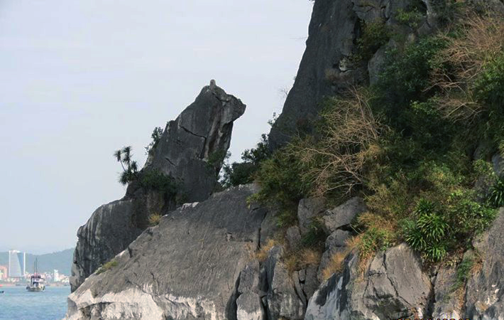 Quan sát Hòn Chó Đá từ boong tàu