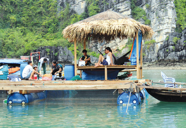 Nghề nuôi ngọc trai trên làng chài 