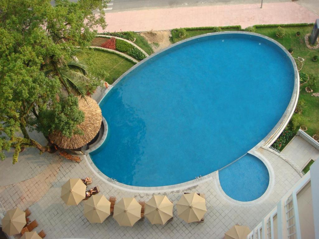 Khu vực bể bơi rộng, bố trí ghế tắm nắng để du khách nghỉ ngơi