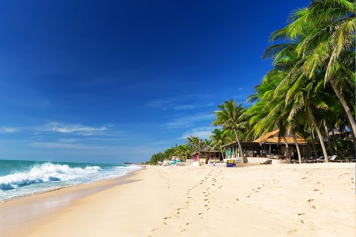 Toàn cảnh bãi biển Hàm Tiến với những hàng dừa xanh và khu nghỉ dưỡng sát biển