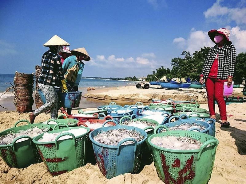 Trải nghiệm chợ cá của người dân địa phương
