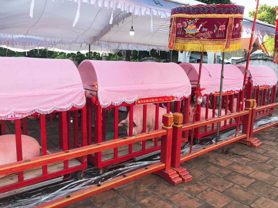 Hội thi Ông Voi là một trong những hoạt động văn hóa tín ngưỡng vô cùng đặc sắc và thu hút đông đảo du khách