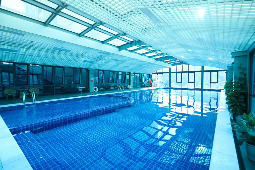 Hồ bơi bốn mùa thoáng đãng của D’lioro Hotel