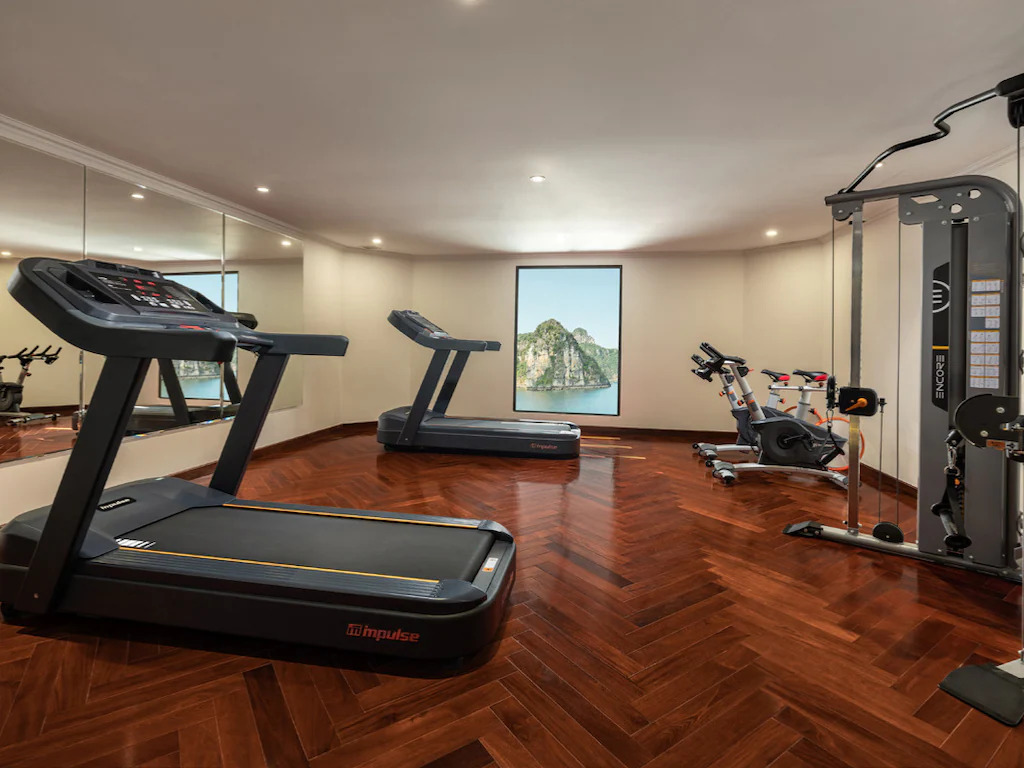 Phòng gym trên tàu được trang bị đầy đủ các thiết bị cardio, máy chạy bộ và tạ