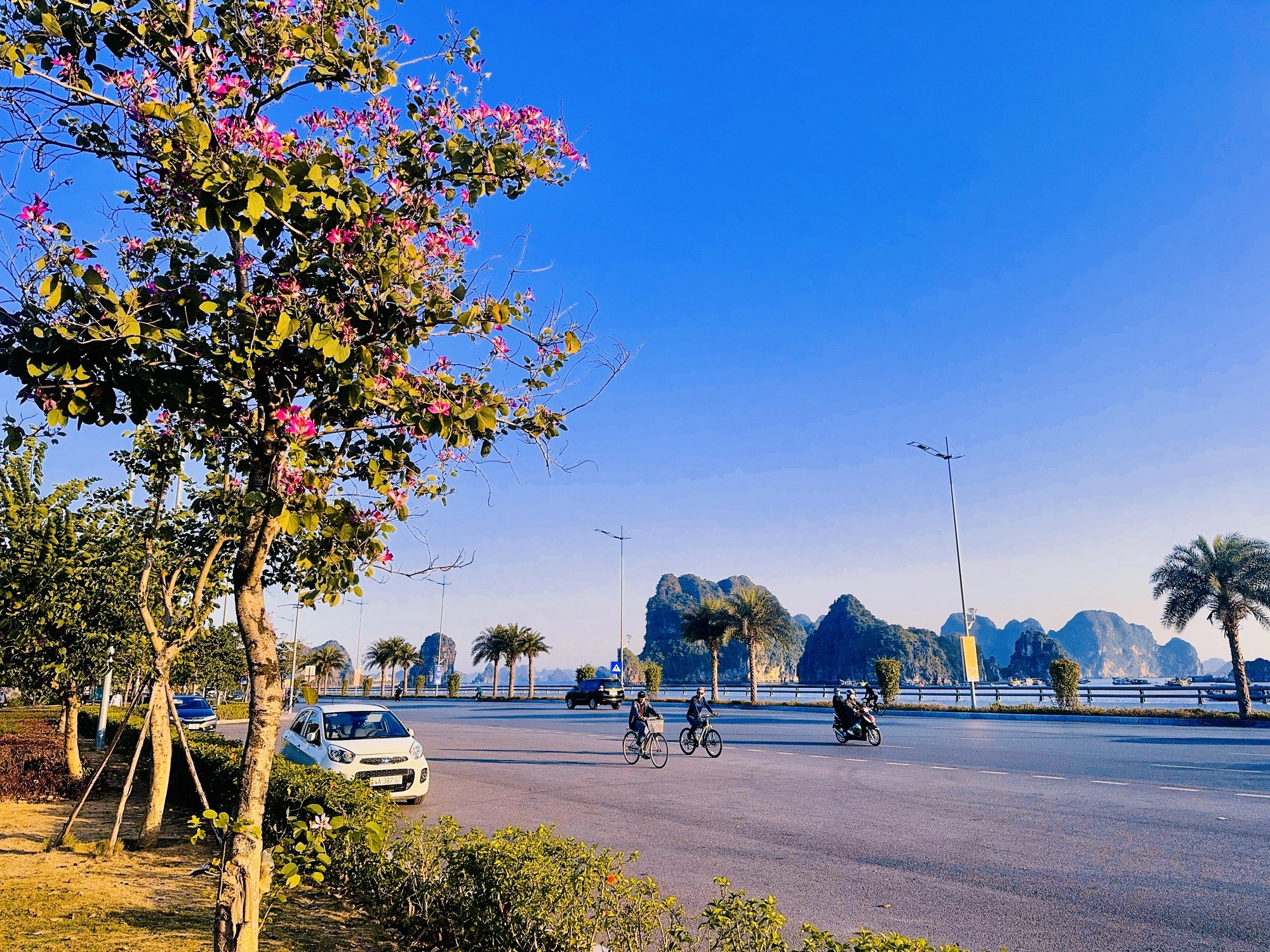 Bờ kè ven biển của công viên kéo dài hàng km