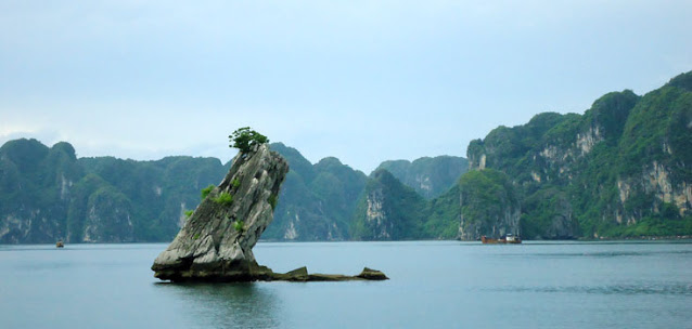 Hòn Con Cóc ở giữa vịnh Hạ Long được xem như hiện thân của sự kiên nhẫn