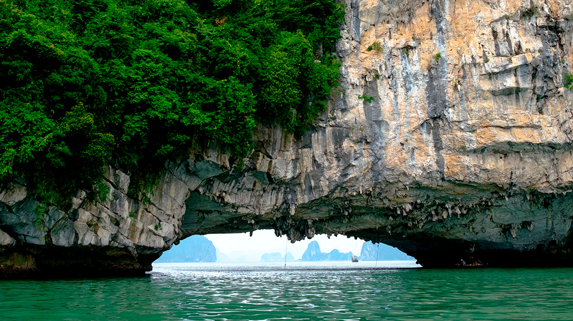 Hệ sinh thái tự nhiên trên hang Luồn rất đa dạng