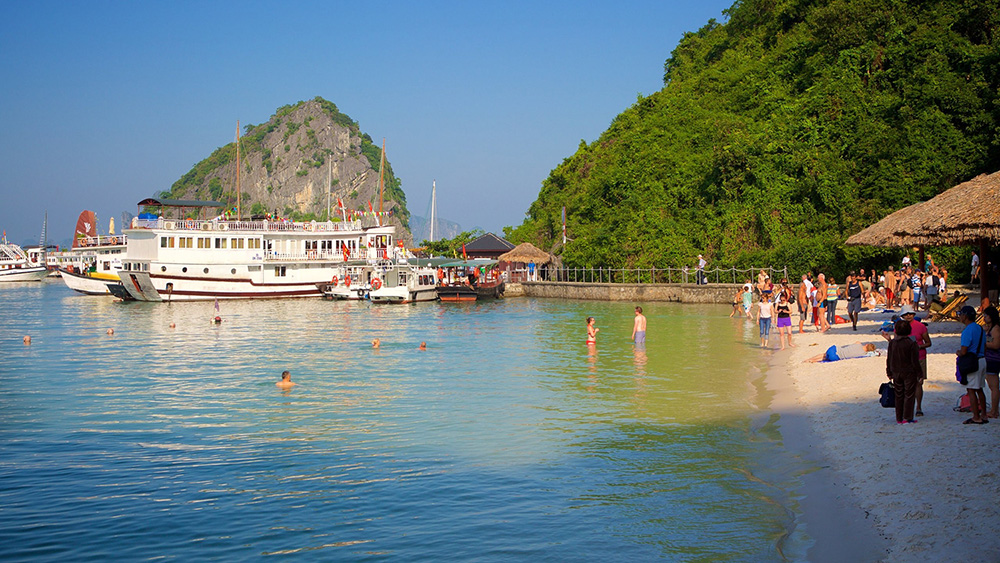 Đảo Soi Sim nổi tiếng với mùa hoa sim tím nở đẹp siêu lòng trên đảo