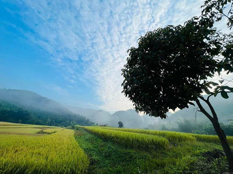 Khung cảnh thiên nhiên hoang sơ hùng vĩ