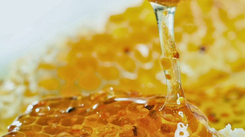 Màu sắc vàng ánh xanh và sánh đặc đặc trưng