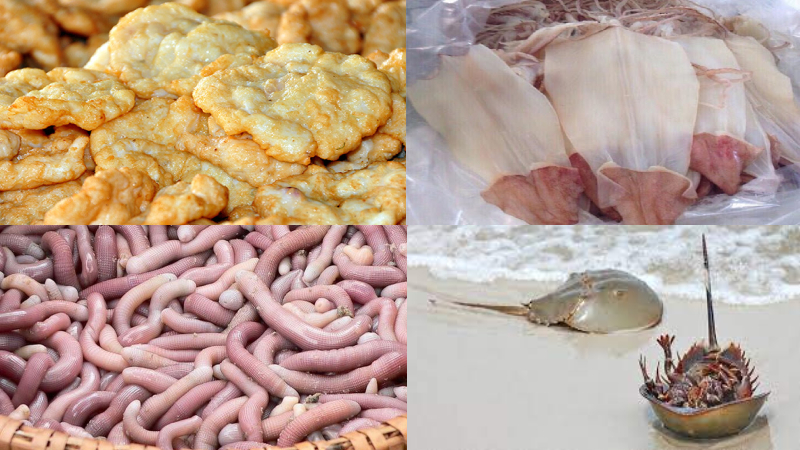 Thưởng thức mỹ vị độc đáo nức lòng du khách