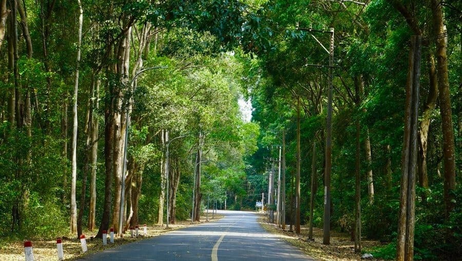 Hòa mình vào thiên nhiên khi khám phá Rừng Quốc Gia Bình Châu - Phước Bửu