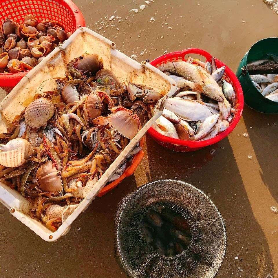 Bạn có thể thưởng thức những nhà hàng gần biển Lộc An như nghêu Thái, cá thòi lòi nấu me, lẩu cá Lộc An
