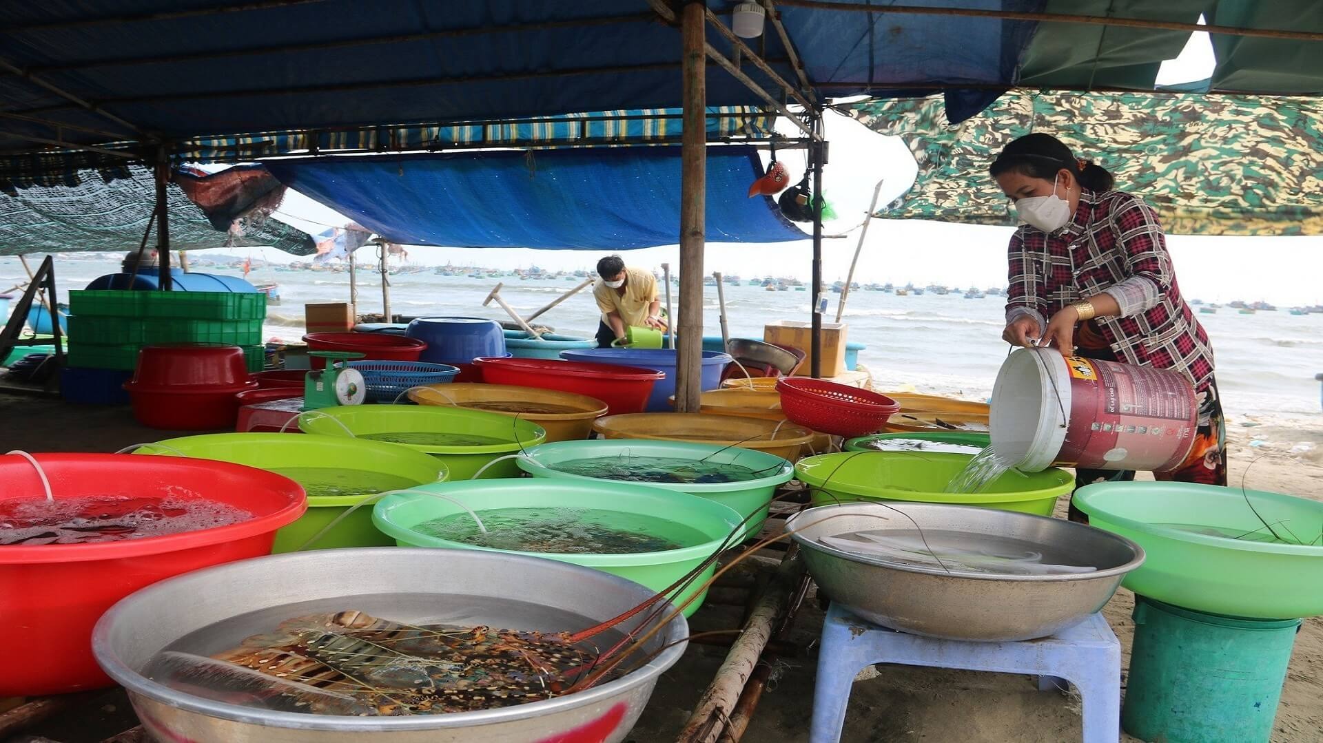 Kinh nghiệm mua hải sản để không bị chặt chém khi đi du lịch tại chợ Hàm Tiến