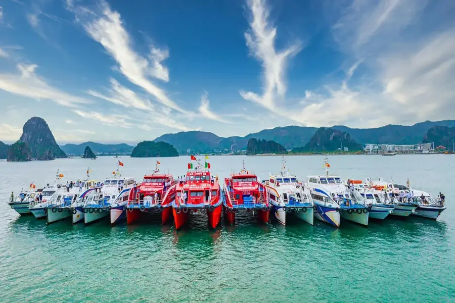 Đặt vé tàu trước khi ra đảo