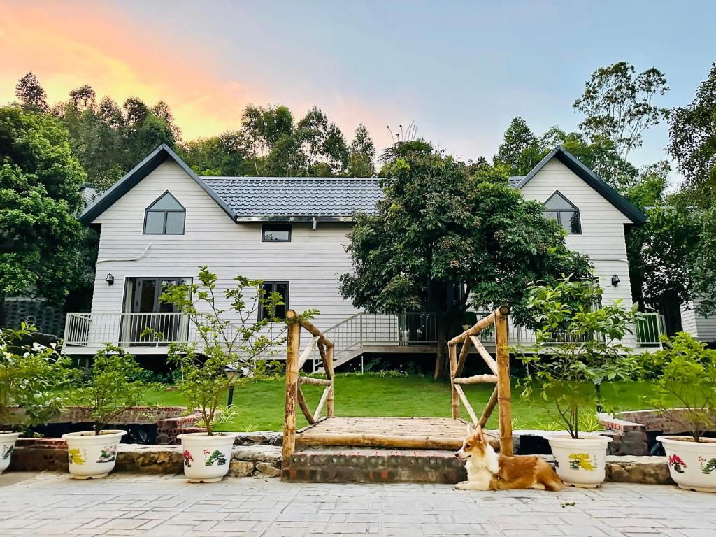 Resort trên đảo có không gian xanh mát
