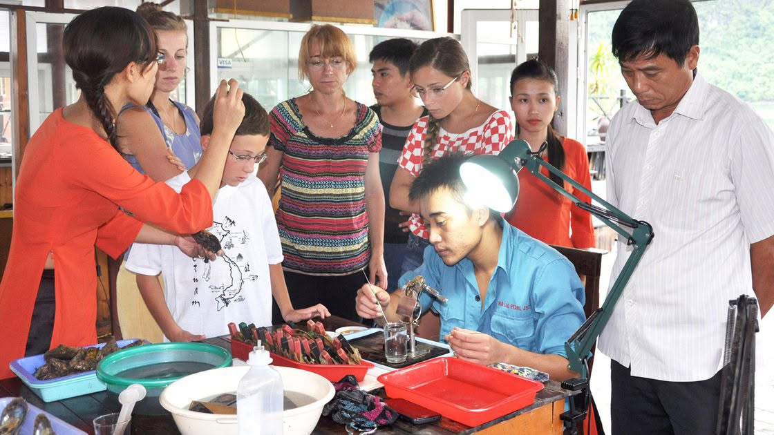 Quan sát cận cảnh thợ thu hoạch ngọc trai thủ công