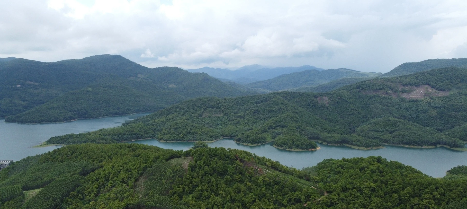 Thời điểm lý tưởng thường kéo dài cỡ 2 tháng