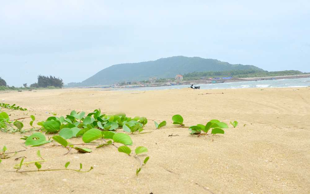 Bãi Bến Hèn hoang sơ là nơi lý tưởng cho những du khách thích khám phá