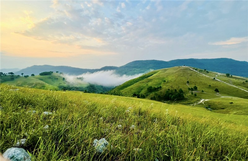 Đỉnh Phượng Hoàng sở hữu bầu không khí trong lành