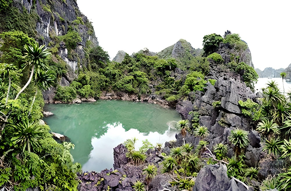 Đảo Ba Mùn gồm các cụm đảo đá vôi dài và rộng 