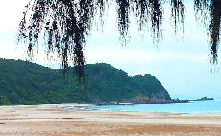 Mùa hè rực rỡ với nắng vàng, biển êm và làn nước xanh trong vắt