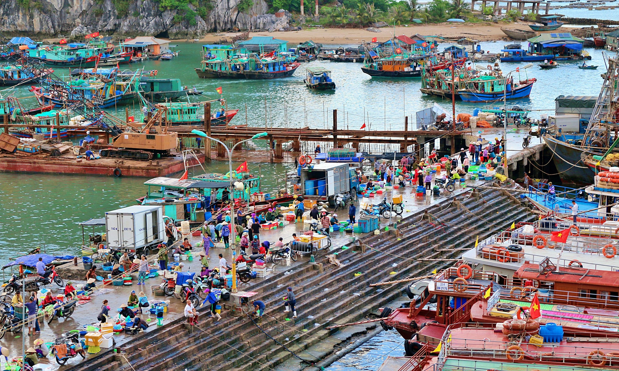 Trung tâm mua bán hải sản tươi sống nhộn nhịp ở bên cảng
