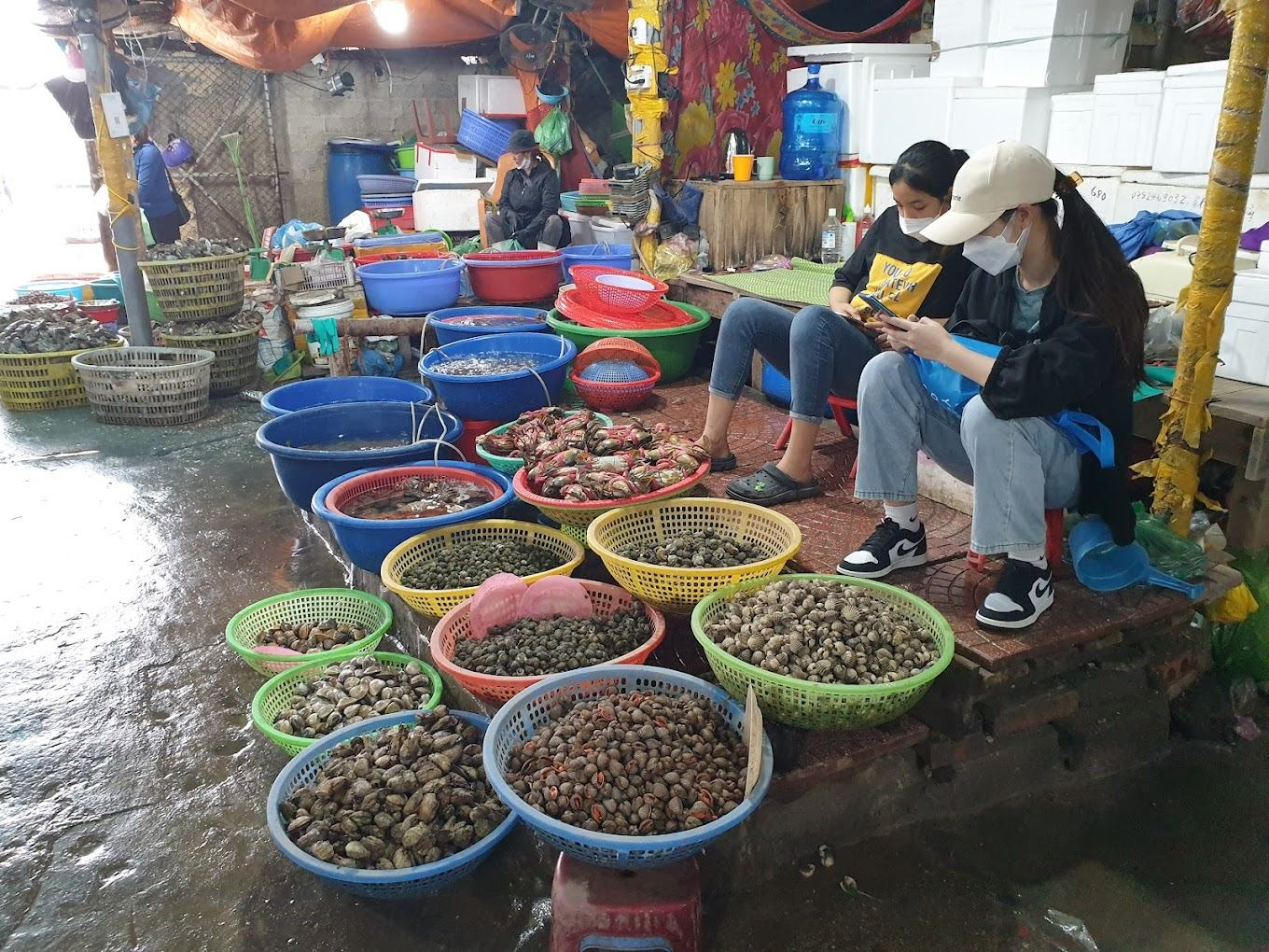 Các loại hải sản như ốc tươi thích hợp để làm BBQ