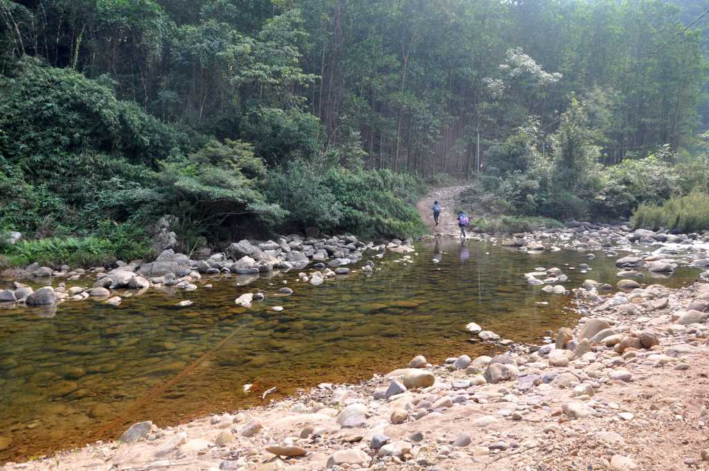 Không gian chữa lành giữa núi rừng thiên nhiên hoang sơ