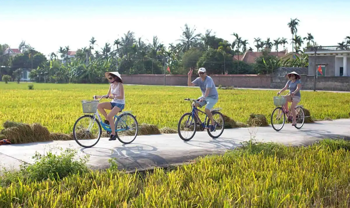 Thong thả đạp xe quanh làng ngắm nhìn cảnh vật miền quê 