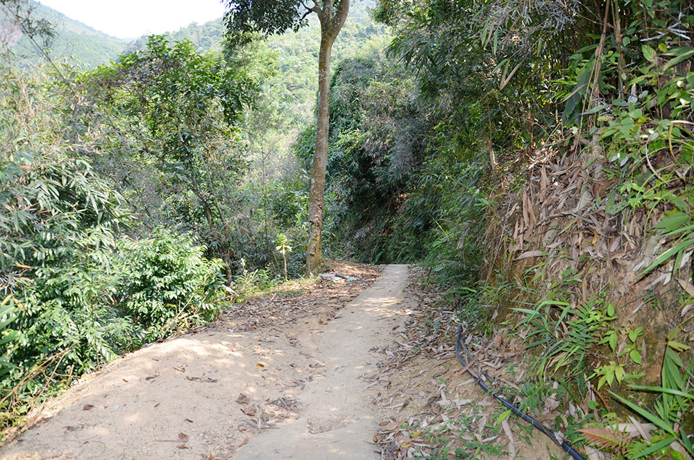 Đường mòn trên hành trình trekking chinh phục thác Pạc Sủi