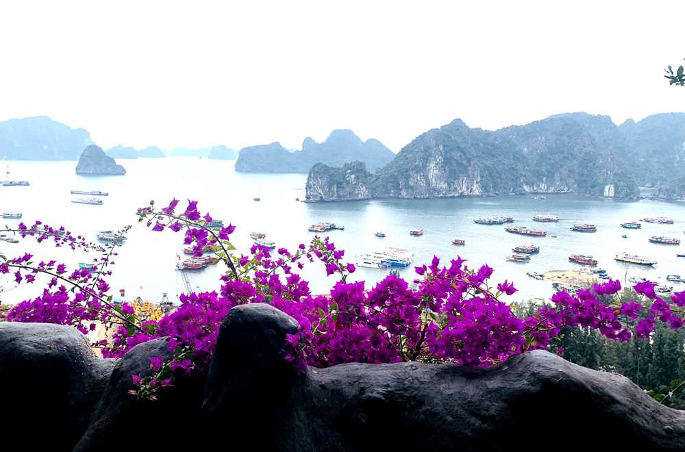 Danh thắng Vũng Đục nằm ngay dưới chân núi Bàn Cờ