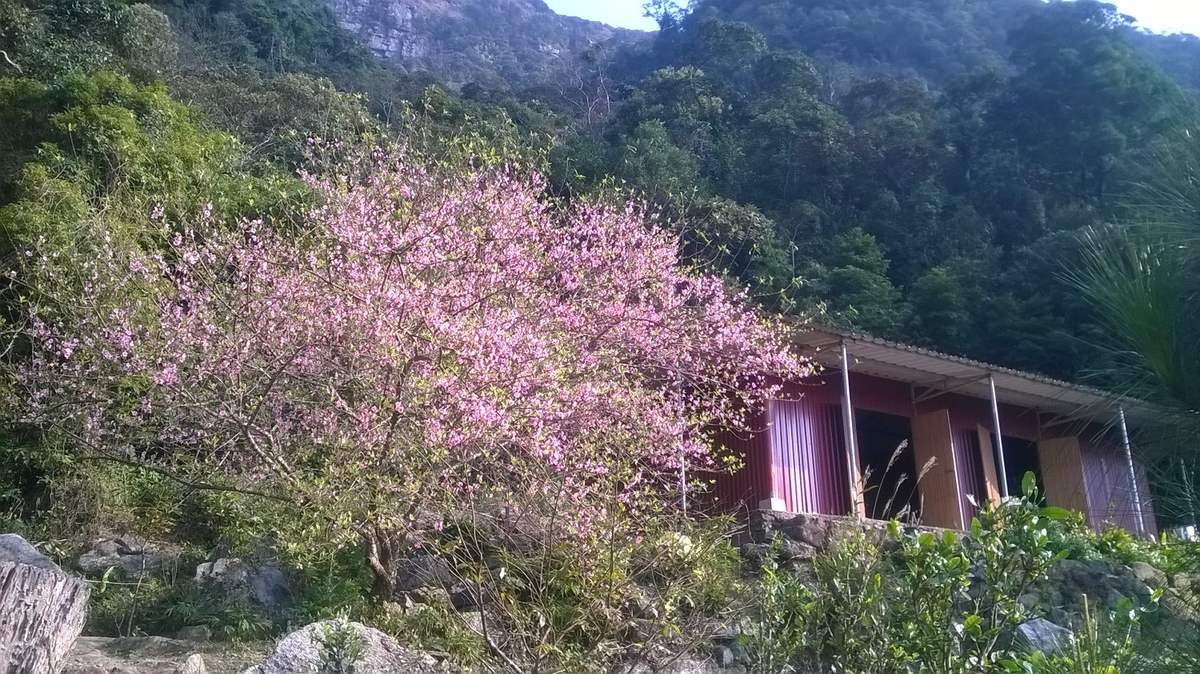 Khu vực đền chính của chùa Hồ Thiên
