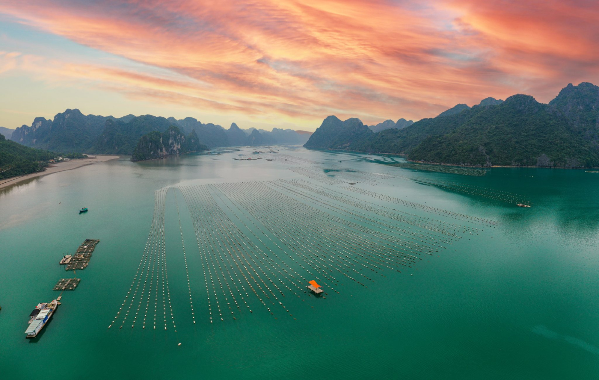 Khám phá “thủ phủ hàu sữa” của Vân Đồn