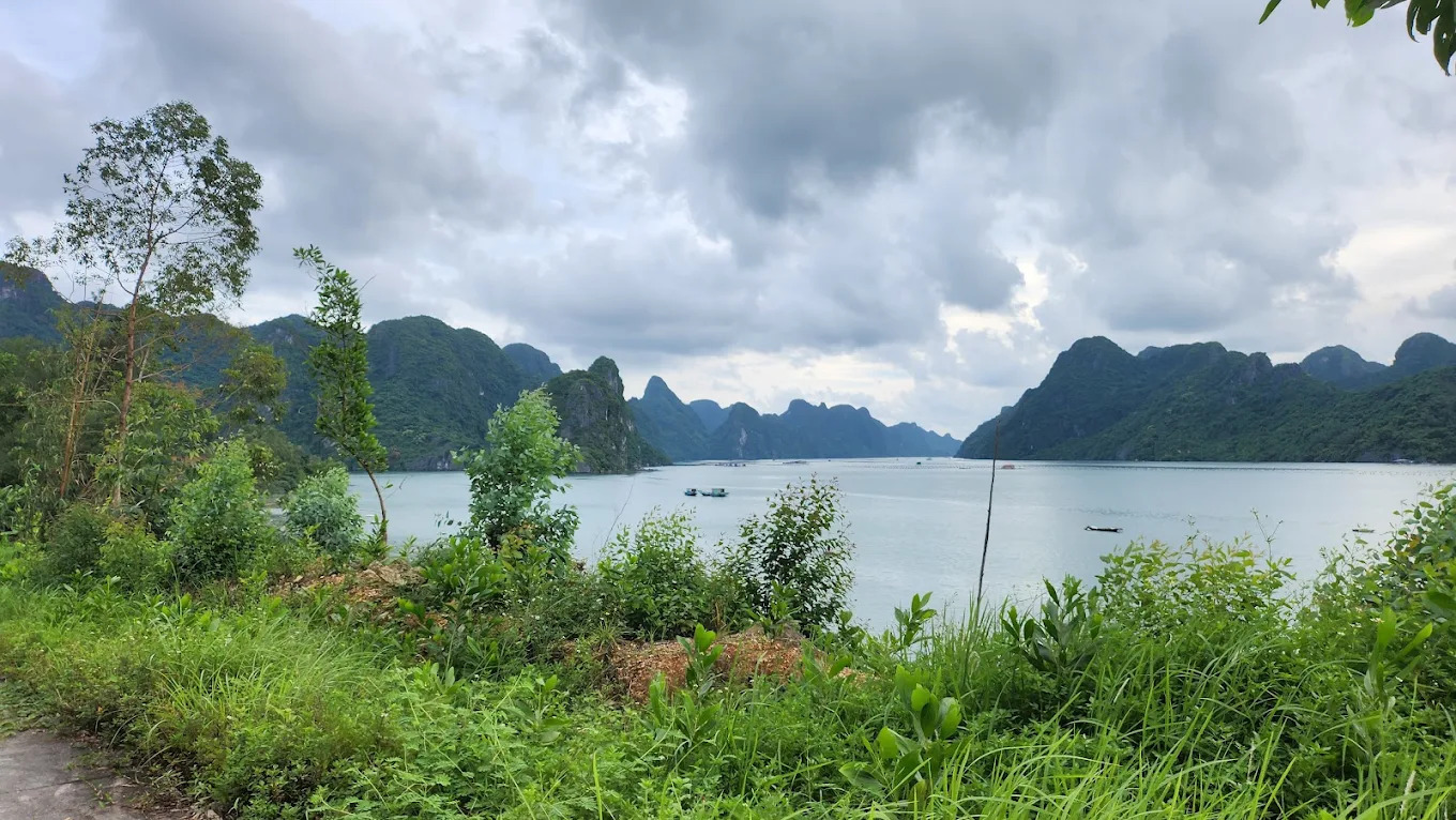 Đảo Trà Bản thích hợp khám phá vào những tháng đầu năm