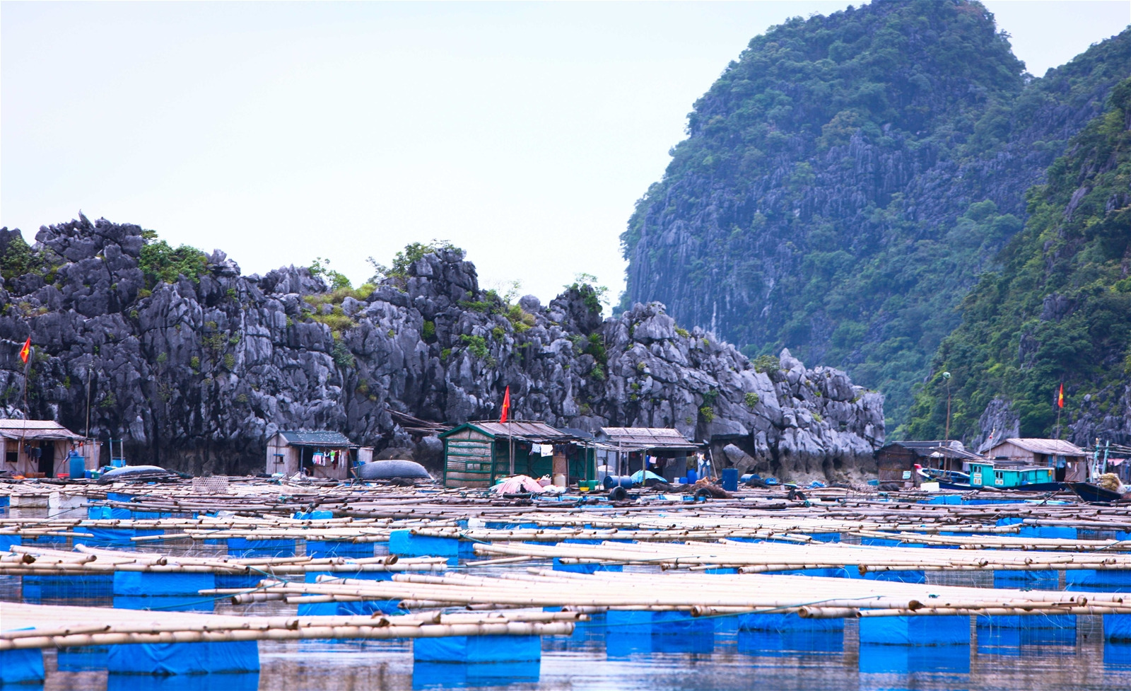 Đảo Trà Bản giữ nhịp sống bình dị và ổn định