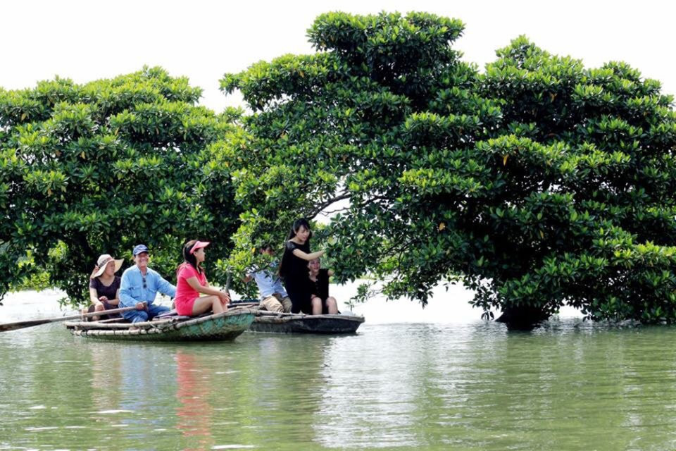 Trải nghiệm đi thuyền cùng người dân để khám phá khu rừng