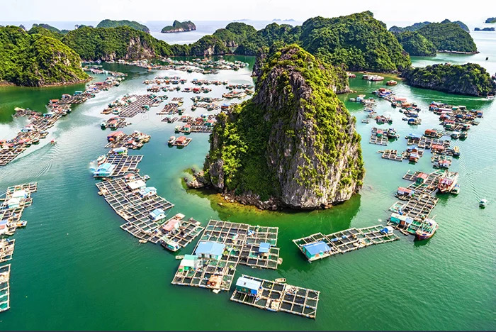 Kết hợp khám phá làng chài Cửa Vạn trong chuyến đi