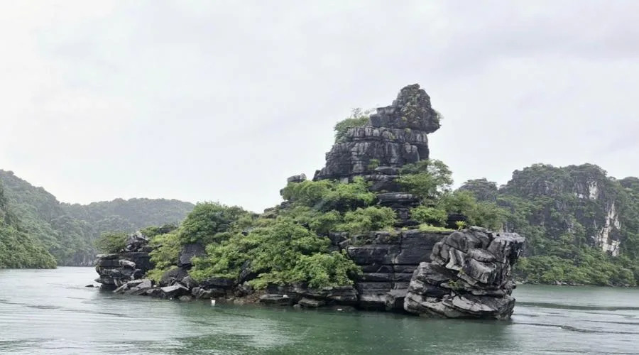 Thảm thực vật xanh bao quanh khối đá