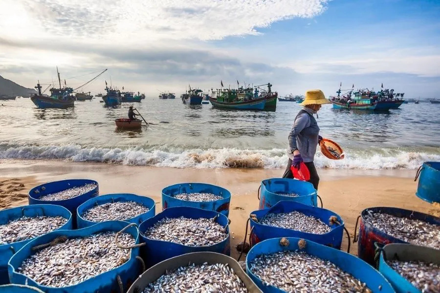 Mũi Ngọc từ lâu đã gắn bó sâu sắc với bao thế hệ cư dân Móng Cái