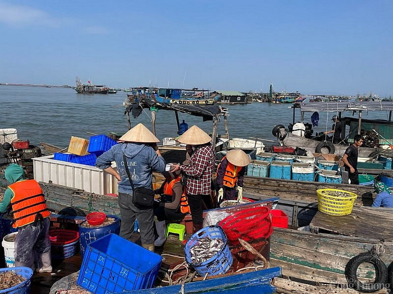 Nhịp sống sinh hoạt bình dị, mộc mạc của cộng đồng cư dân làng chài Bình Ngọc