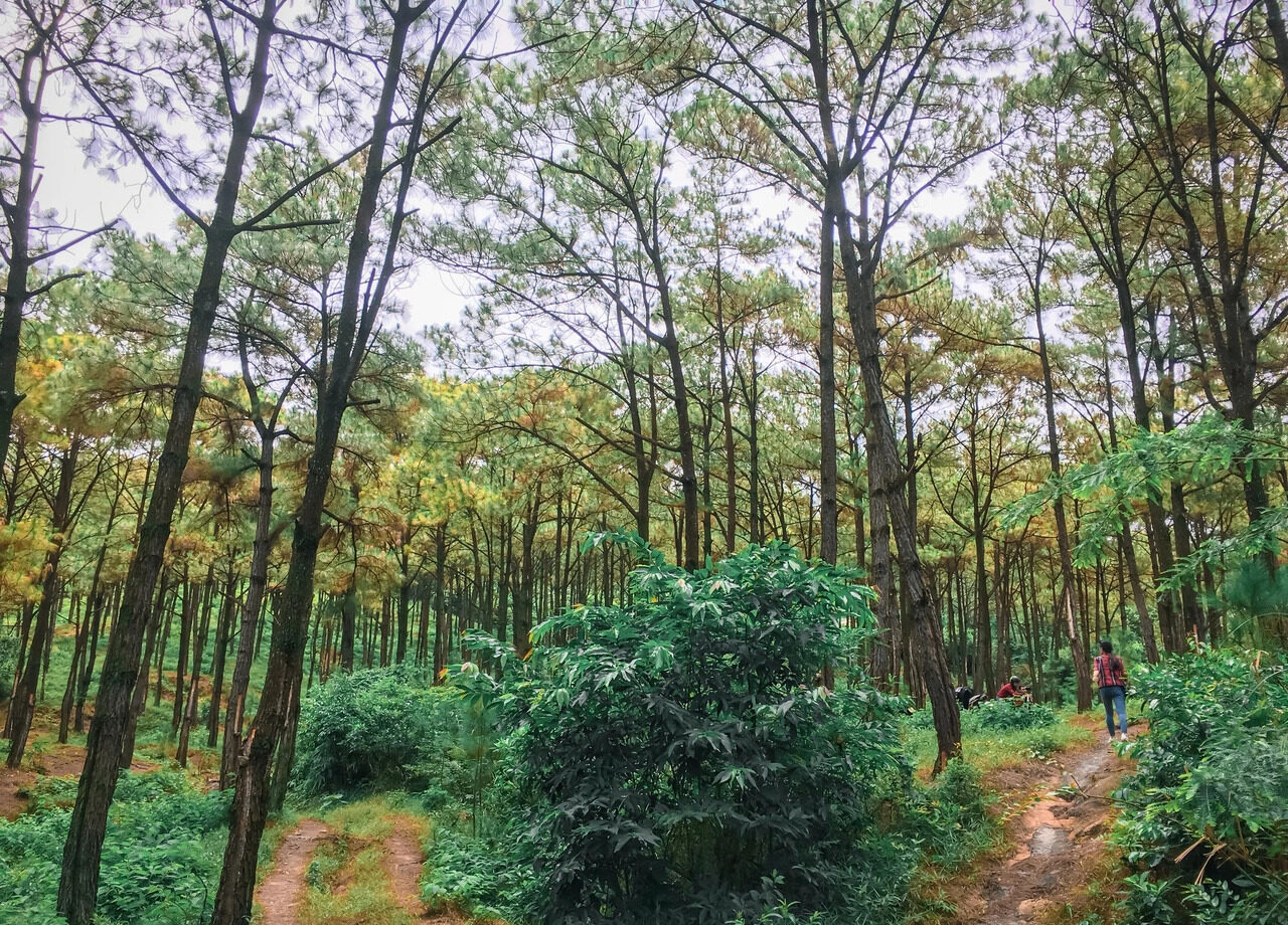 Đường khám phá núi Đá Chồng còn hoang sơ và yên tĩnh