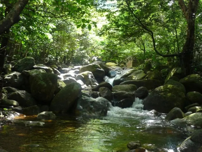 Dòng suối đầu tiên trong hành trình khám phá Yên Tử